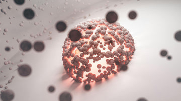 What Is NAD+ and Why Does It Decline A Plain Language Guide to the Coenzyme Behind Cellular Energy